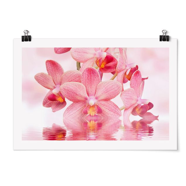 Wandbilder Floral Rosa Orchideen auf Wasser