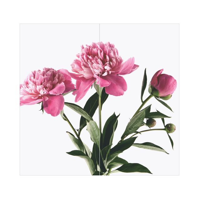 Duschrückwand - Blüten und Knospen Pink auf Weiß
