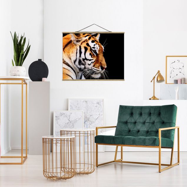 Wandbilder Modern Tiger Schönheit
