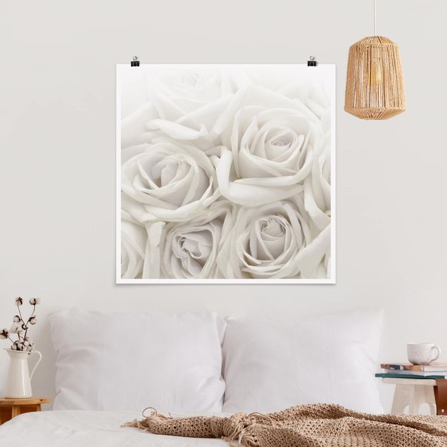 Poster Blumen Weiße Rosen
