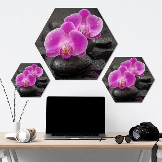 Bilder Hexagon Pinke Orchideenblüten auf Steinen mit Tropfen