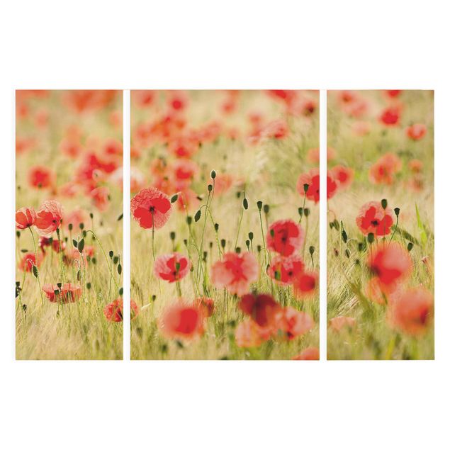 Wandbilder Floral Summer Poppies