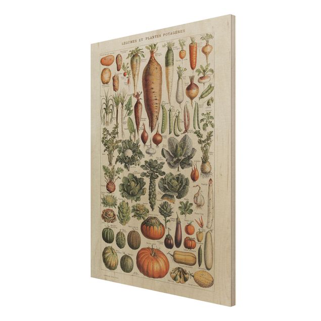Vintage Bilder Holz Vintage Lehrtafel Gemüse