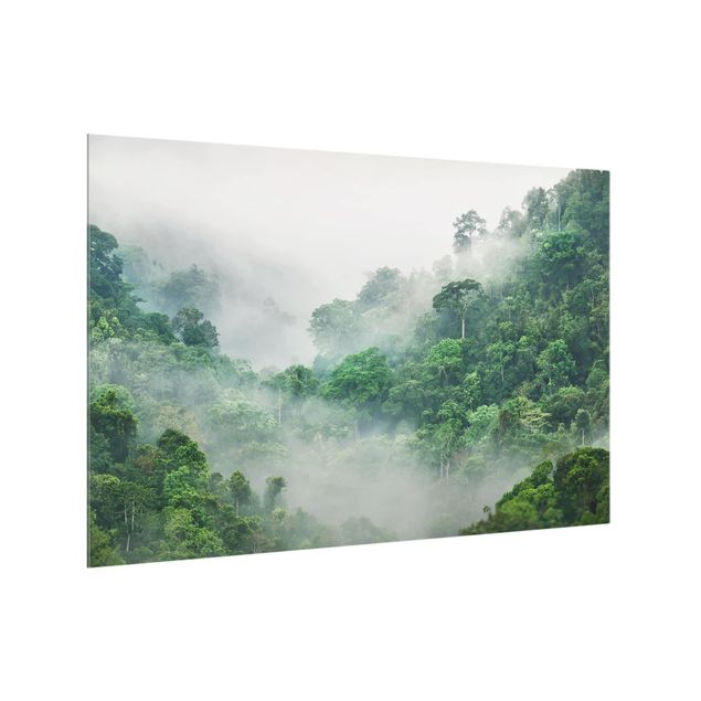 Glasrückwand Küche Dschungel im Nebel