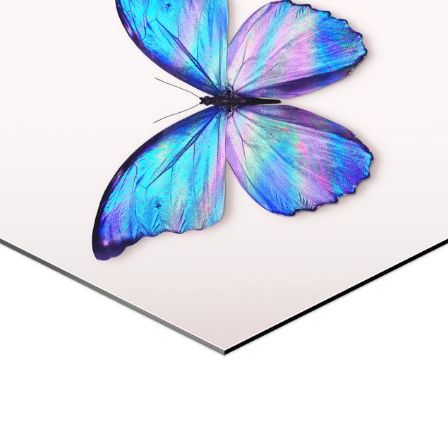 Loose Bilder Holografischer Schmetterling