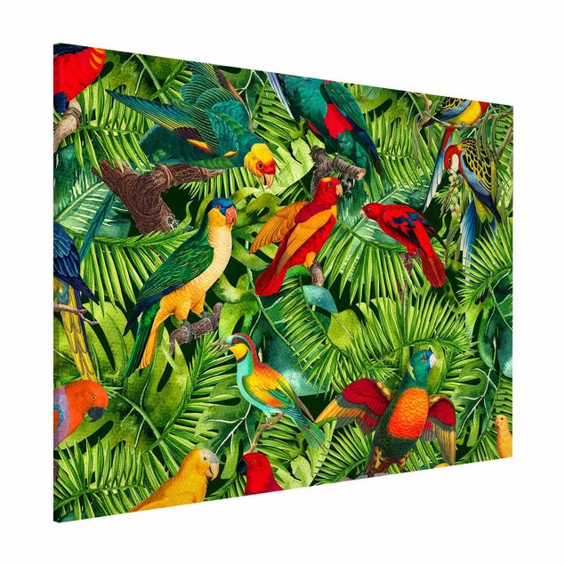 Wanddeko Küche Bunte Collage - Papageien im Dschungel