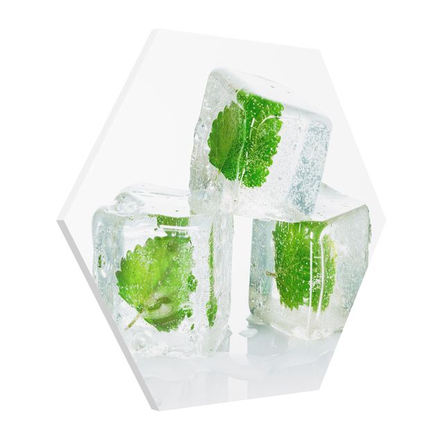Foto auf Hartschaumplatte Drei Eiswürfel mit Melisse