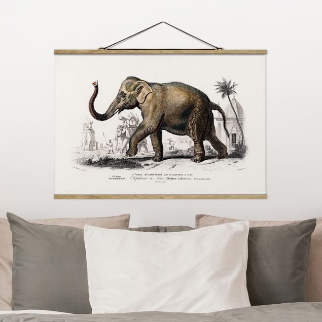 Wanddeko Küche Vintage Lehrtafel Elefant