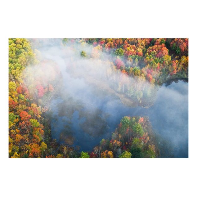 Wandbilder Bäume Luftbild - Herbst Symphonie