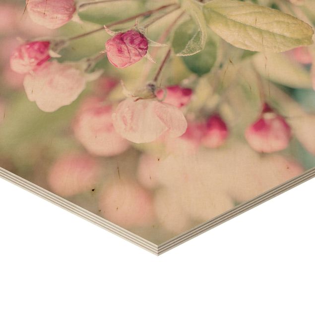 Holzbilder Apfelblüte Bokeh rosa