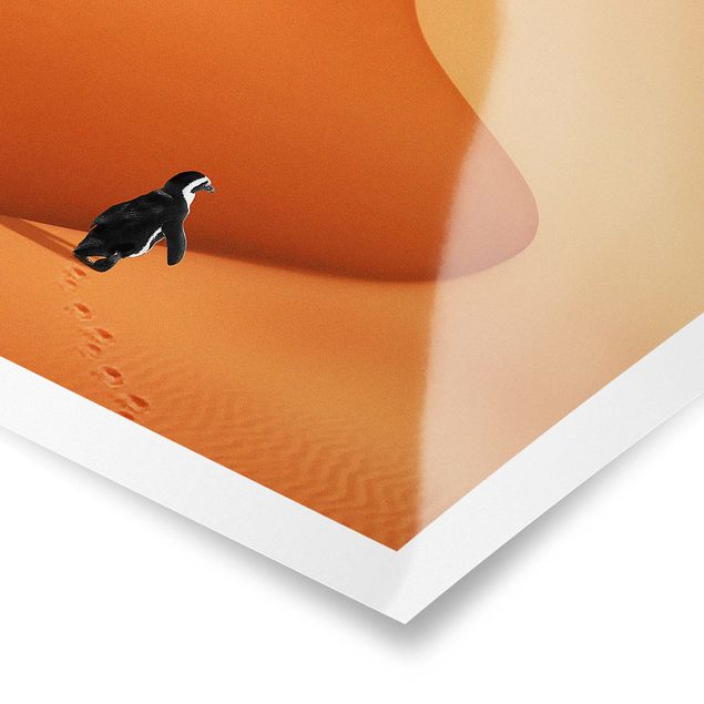 Wandbilder Orange Wüste mit Pinguin