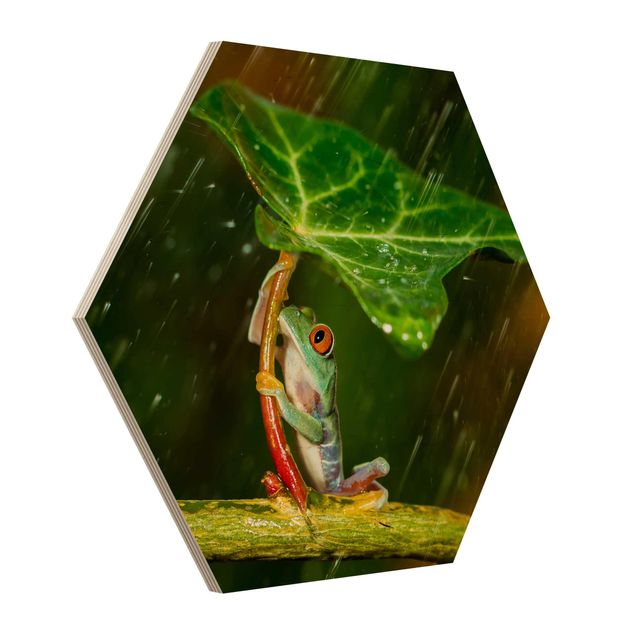 Bilder auf Holz Ein Frosch im Regen