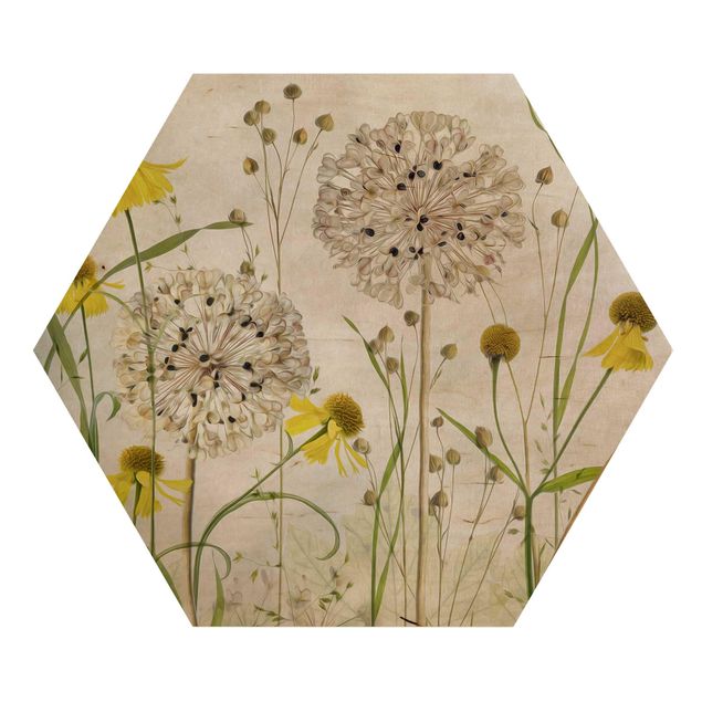 Bilder auf Holz Allium und Helenium Illustration