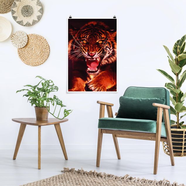 Tiere Poster Wilder Tiger
