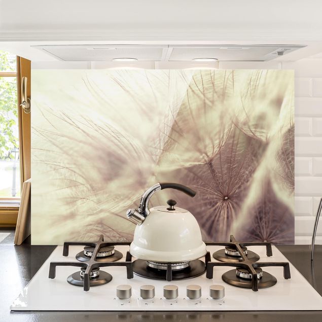 Küchen Deko Detailreiche Pusteblumen Makroaufnahme mit Vintage Blur Effekt