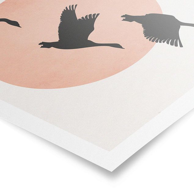Natur Poster Vögel vor rosa Sonne III