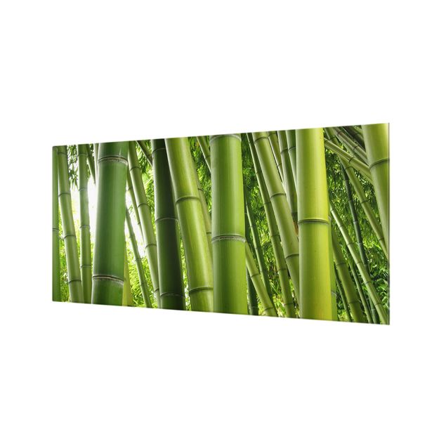 Spritzschutz Glas - Bamboo Trees - Querformat - 2:1