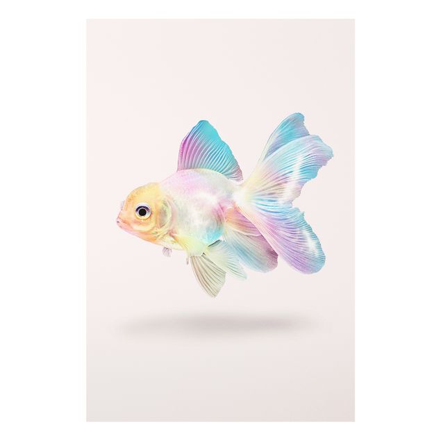 Wandbilder Fische Fisch in Pastell