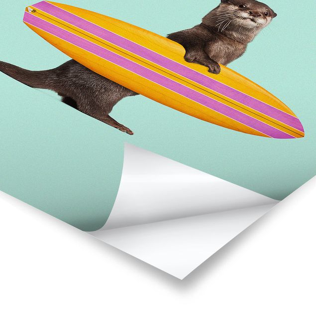 Jonas Loose Bilder Otter mit Surfbrett