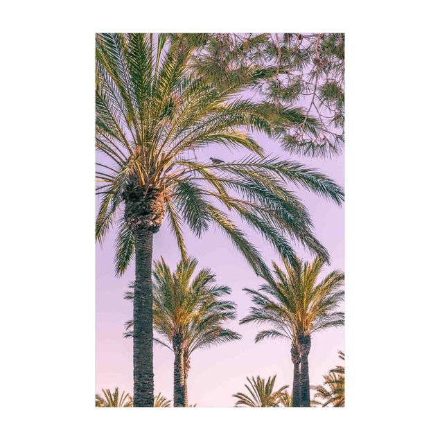 Teppich Dschungel Palmen im Sonnenuntergang