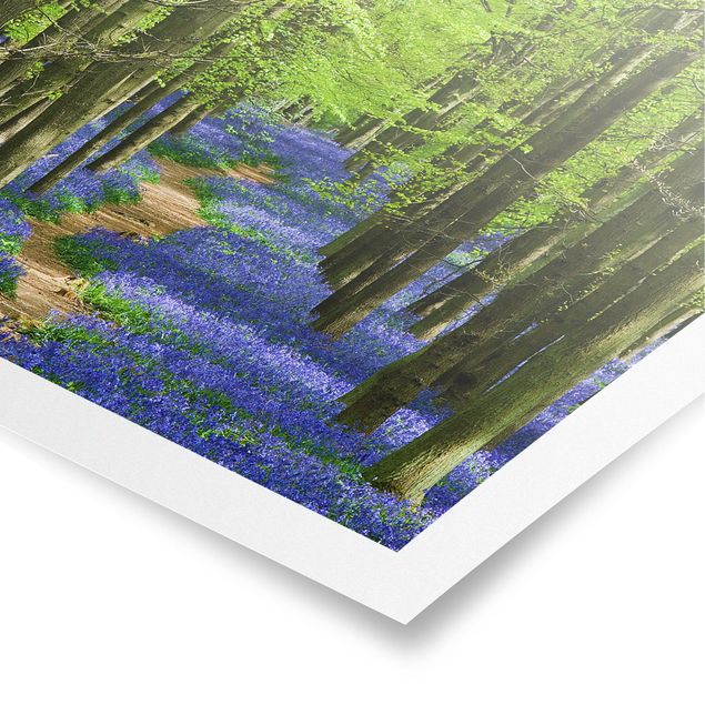 Wandbilder 3D Wanderweg in Hertfordshire