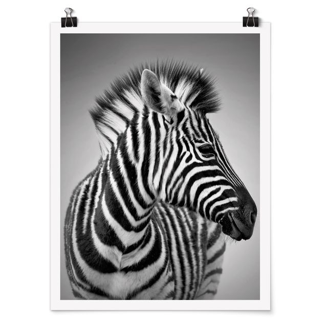 Tierposter Zebra Baby Portrait II