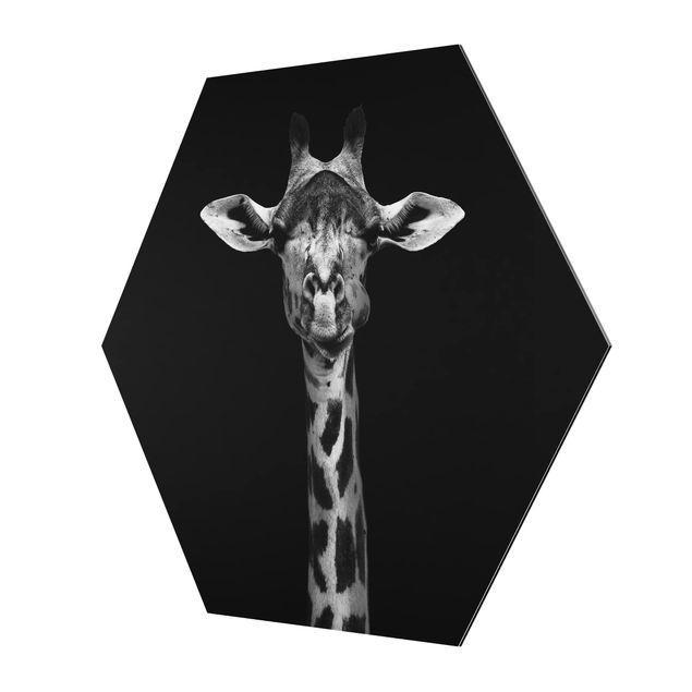 Wandbilder Schwarz-Weiß Dunkles Giraffen Portrait