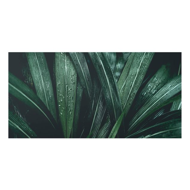 Spritzschutz Glas - Grüne Palmenblätter - Querformat - 2:1