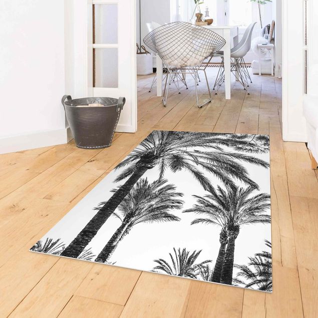 Wanddeko Küche Palmen im Sonnenuntergang Schwarz-Weiß