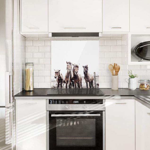 Glasrückwand Küche Island Pferde