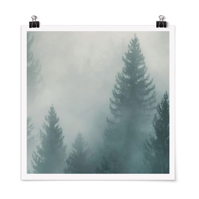 Wandbilder Landschaften Nadelwald im Nebel