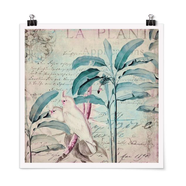 Kunstkopie Poster Colonial Style Collage - Kakadus und Palmen