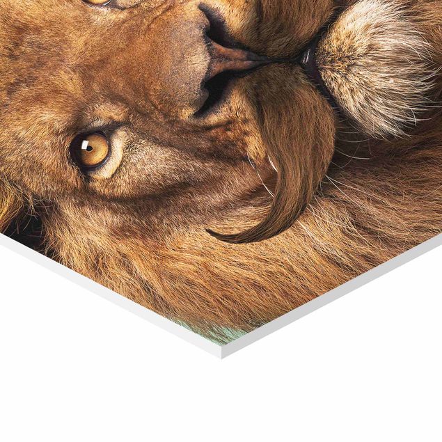 Wandbilder Kunstdrucke Löwen Bart und Sukkulenten