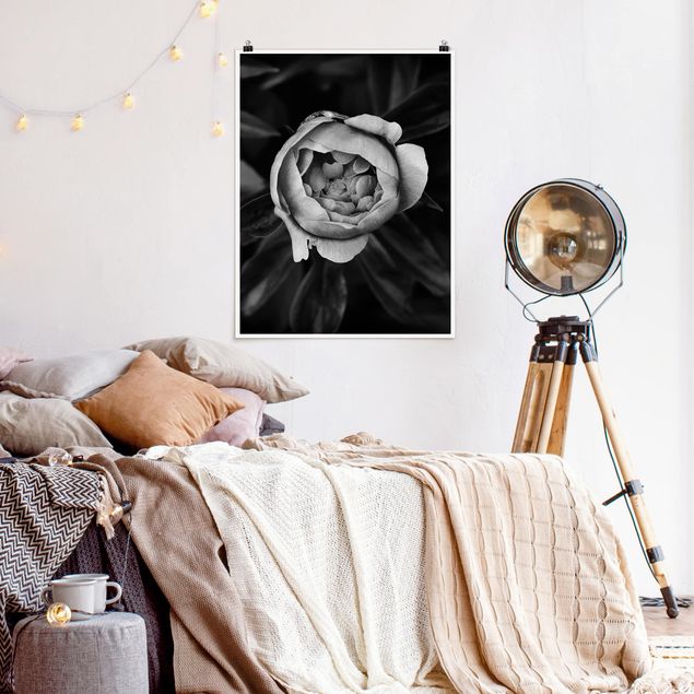 Poster schwarz-weiß Fotografie Pfingstrosenblüte vor Blättern Schwarz Weiß
