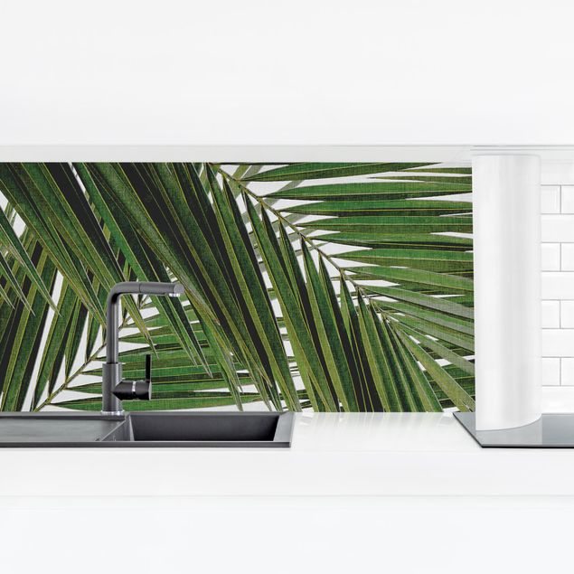 Küchenrückwand Folie selbstklebend Blick durch grüne Palmenblätter