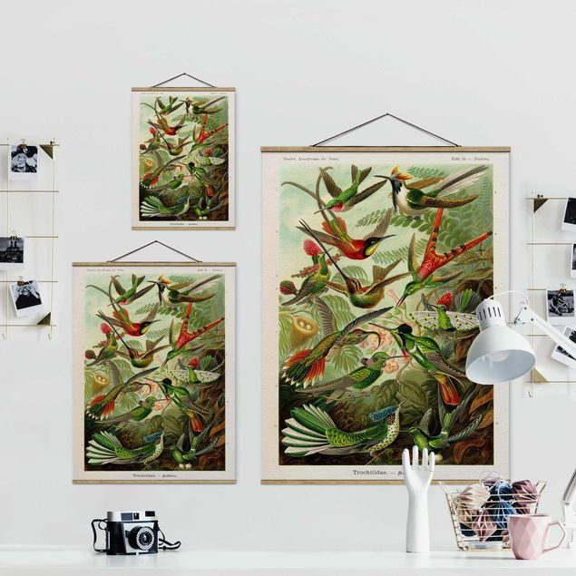 Wandbilder Vintage Lehrtafel Kolibris