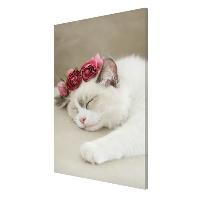 Magnettafeln Blumen Schlafende Katze mit Rosen
