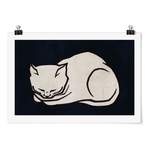 Poster Kunstdruck Schlafende Katze Illustration