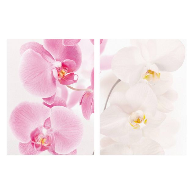 Leinwand Blumen Delicate Orchids