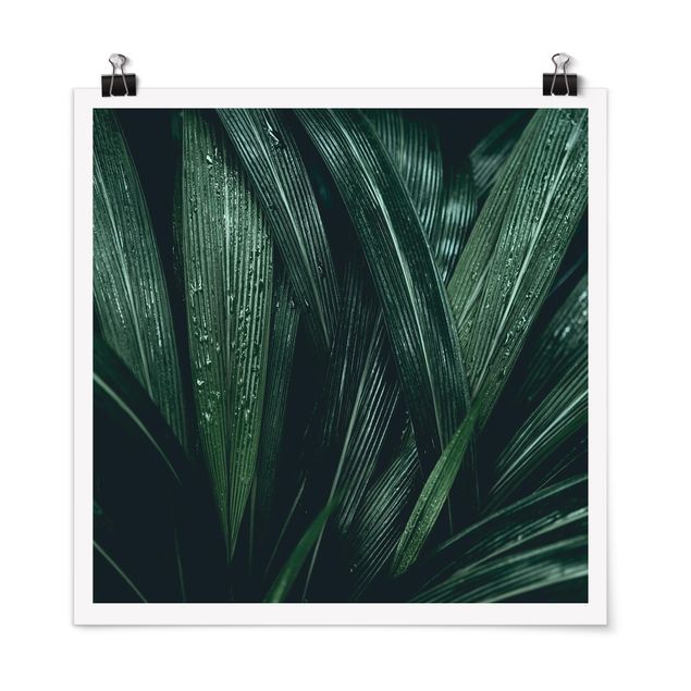 Wandbilder Floral Grüne Palmenblätter