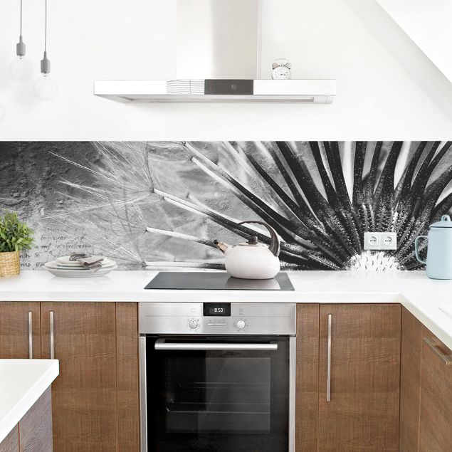 Spritzschutz Küche Glas Pusteblume Schwarz & Weiß