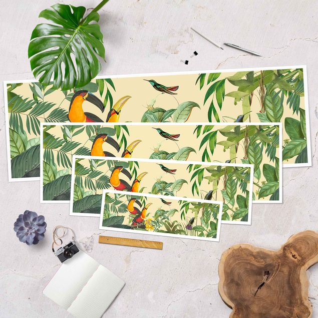 Bilder Vintage Collage - Vögel im Dschungel