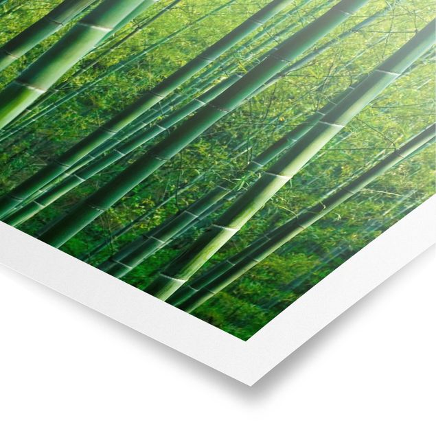 Wandbilder 3D Bambuswald