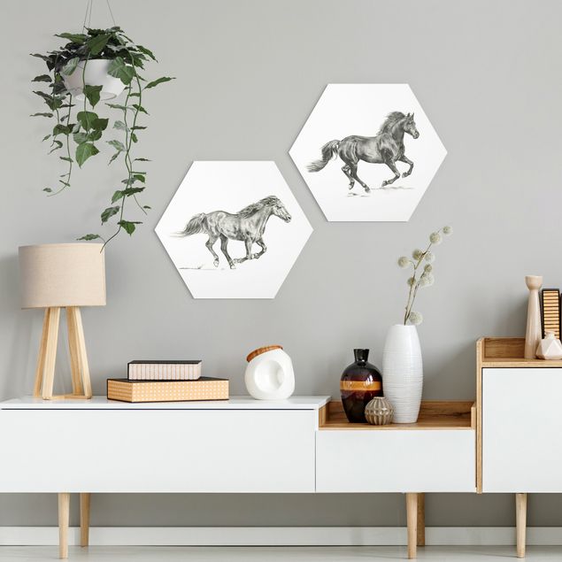 Wandbilder Pferde Wildpferd-Studie Set I