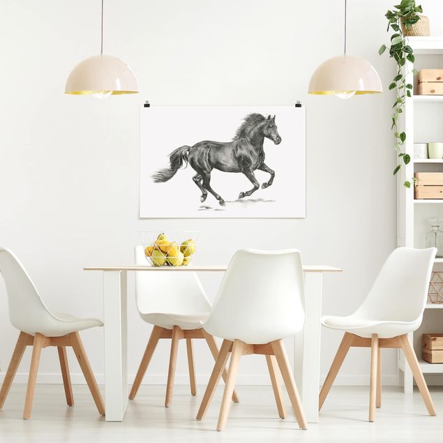 Wandbilder Pferde Wildpferd-Studie - Hengst