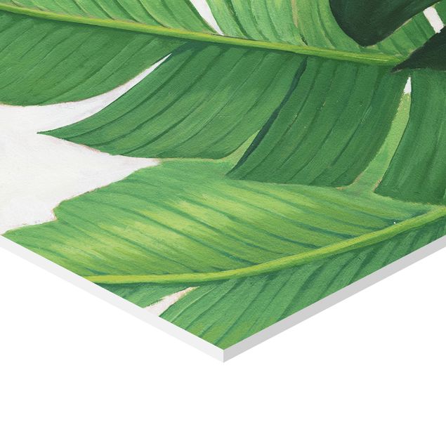 Wandbilder Grün Lieblingspflanzen Tropical Set I