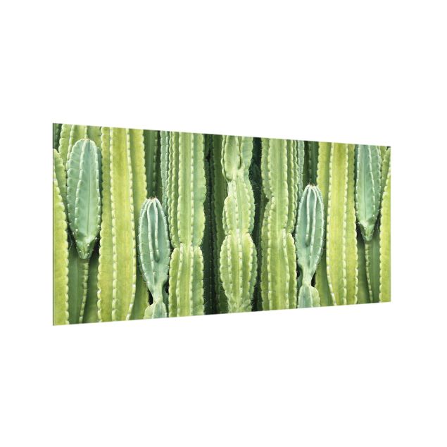 Küchenspiegel Glas Kaktus Wand