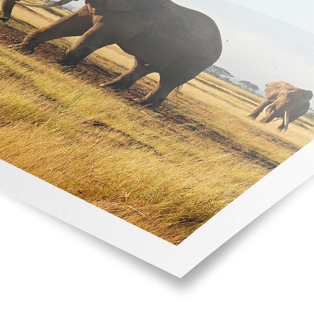 Tiere Poster Elefanten vor dem Kilimanjaro in Kenya