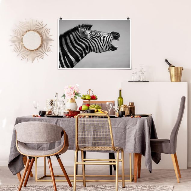 Wandbilder Zebras Brüllendes Zebra II