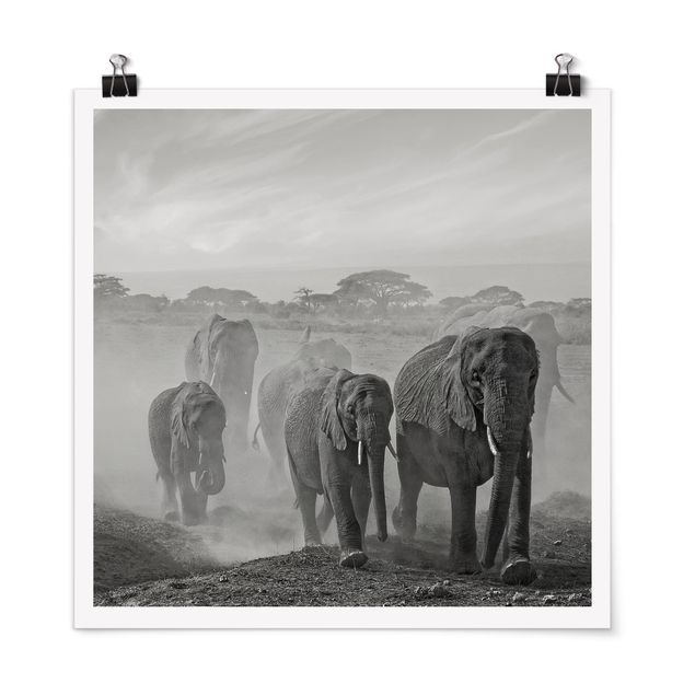 Wandbilder Landschaften Elefantenherde